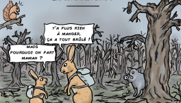 Feux de forêts : que devient la faune ?