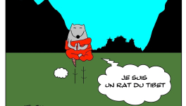 Le rat qui vivait au Tibet