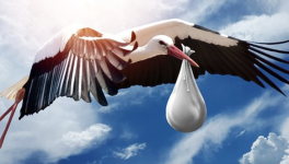 Comment je suis devenue maman - mon combat contre l’infertilité