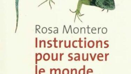 Instructions pour sauver le monde