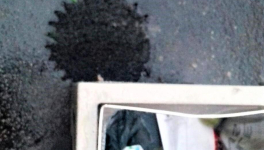 Les vraies raisons de la 2eme vague