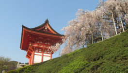Premier jour à Kyoto