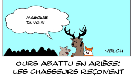 ours abattu en Ariège : les chasseurs menacés de mort