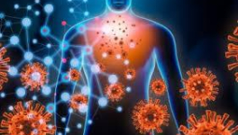 Ainsi à Noël nos vieux ressentiraient-ils le sapin ?