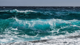 Les Oquendo et la mer