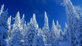 Chapitre 4 Le jour de Noël