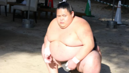 Sumo