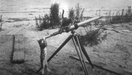 21 La revancha de los gatos