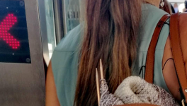 Un pull pour l'hiver