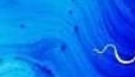 Moua qui mange les mots au p'tit matin, 