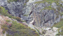 Fragments de réalisme pour moi-même