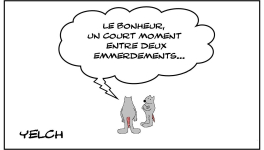 Bonheur et emmerdements