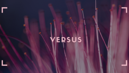 J'ai lu Versus de Candy Adley