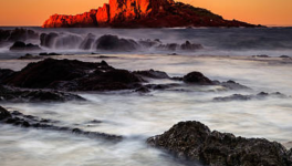 ÉTAT DÂME ET DAMIER FROID