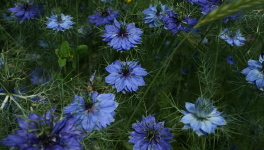 Abysse de mélancolie