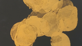 L'Étreinte du Bosquet Sacré