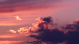 La PAL du mois de Juin 2023