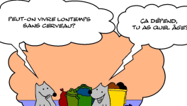 RATPSODIES - AUTUMN 2024 - 7