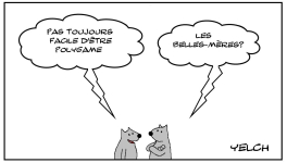 Pas toujours facile d'être un polygame