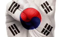 Pas de bol avec le chaebol