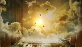 Destination Ponsamaro, le roman ✒️