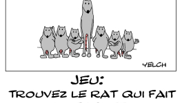 Jeu : trouvez le rat qui fait du basket