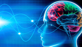 Neuroplasticity – A motivational cue to understand learning