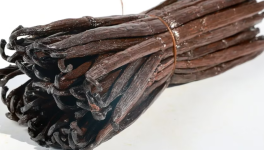 Vanille : les secrets sauvages qui pourraient sauver l'épice la plus précieuse au monde
