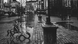 Le Dragon en Costard Gris