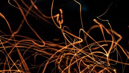 Corona virus - un des noms de la corruption (propagande, simulation, monstruosité) : du trafic d'identité(s).