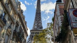 Au-delà des cimes des toîts