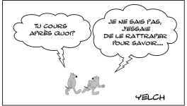 Le rat qui courait après quelque chose...