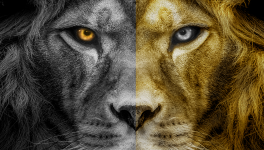 38. La Légende de Nil, Jean-Marc Ferry, Livre 2, L'Utopie de Mohen, Chapitre premier, 3