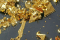 L'Or des Brisures