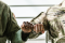 Militariste