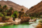 Oasis
