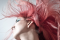 Frisson