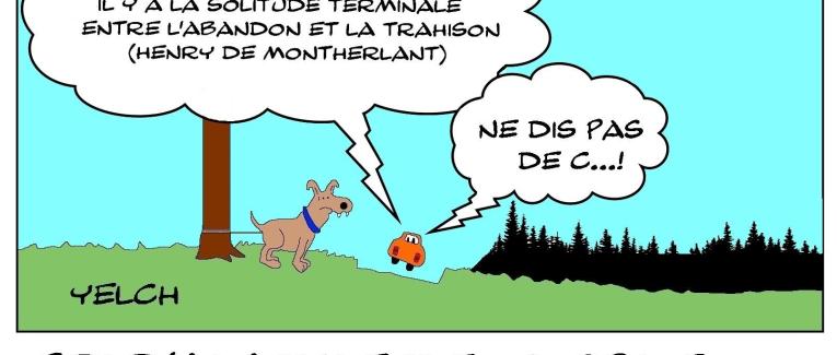 Abandons d'animaux