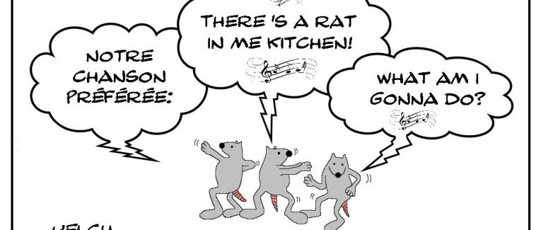 La chanson préférée des rats
