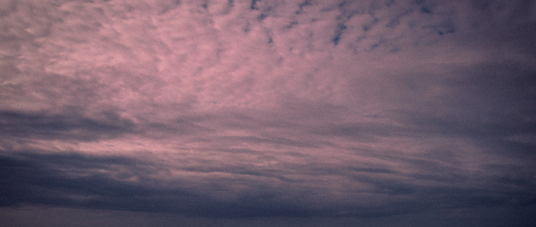 la cinquième langue