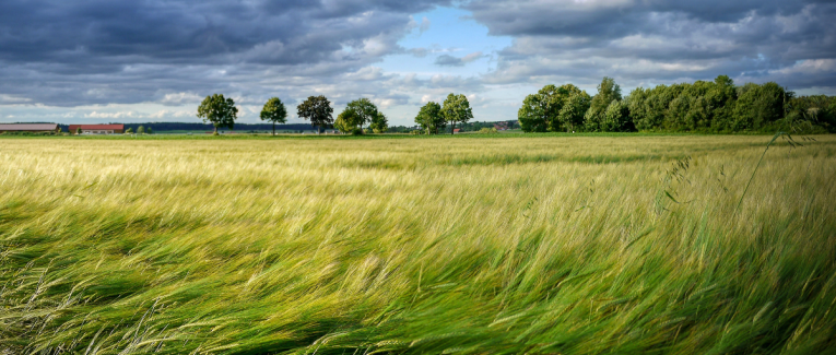 Feuillet de mars : aux quatre vents