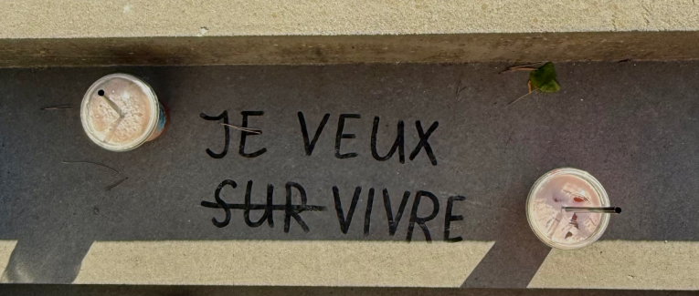Vivante