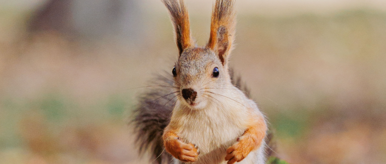 Ma Liasse de Billets d'Humeur