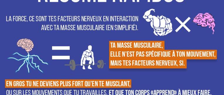 La force : résumé rapidos