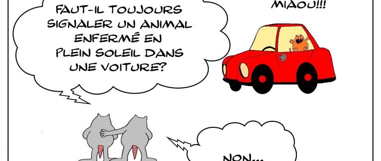Le rat qui ne faisait pas toujours preuve d'altruisme