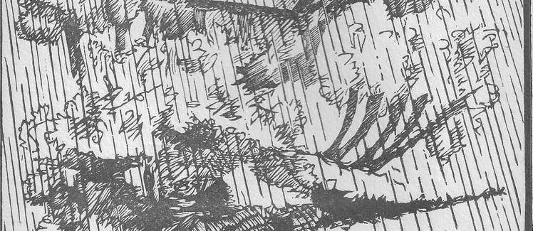 La pluie.