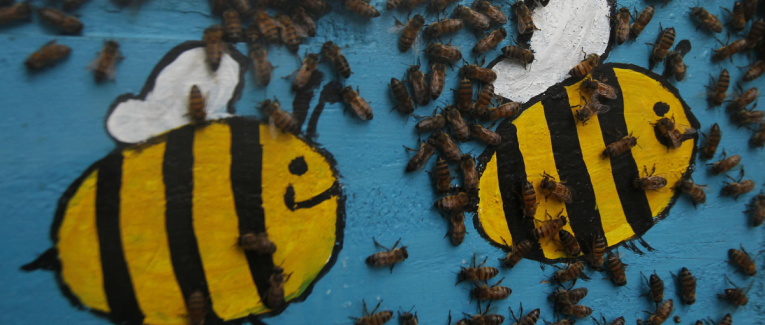 Bee Day: Las abejas merecen su día