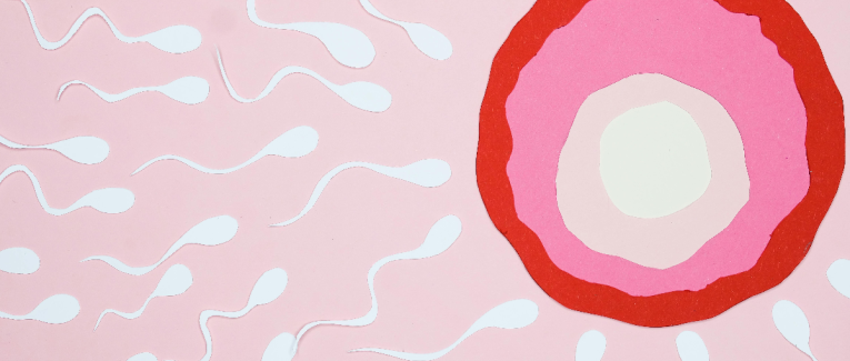 Conception
