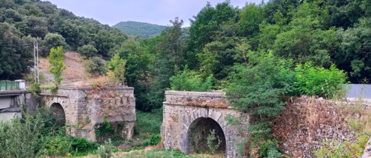 Chapitre 34 - Un coup pour rien