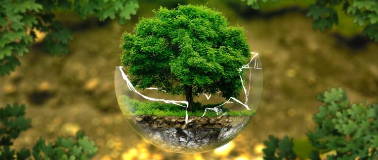 Peut-on encore parler de transition écologique ?
